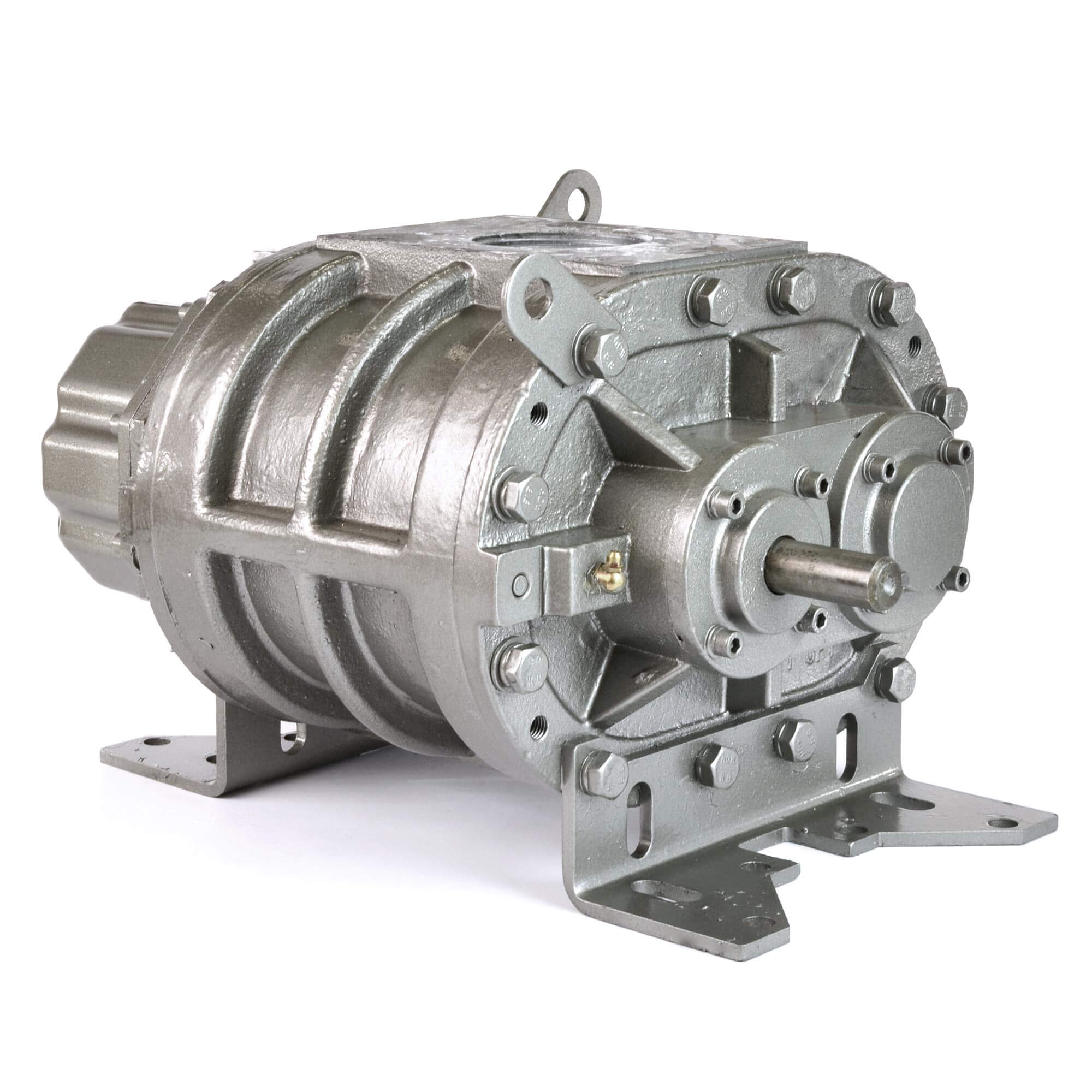 Eurus ZZ3L Positive Displacement Blower