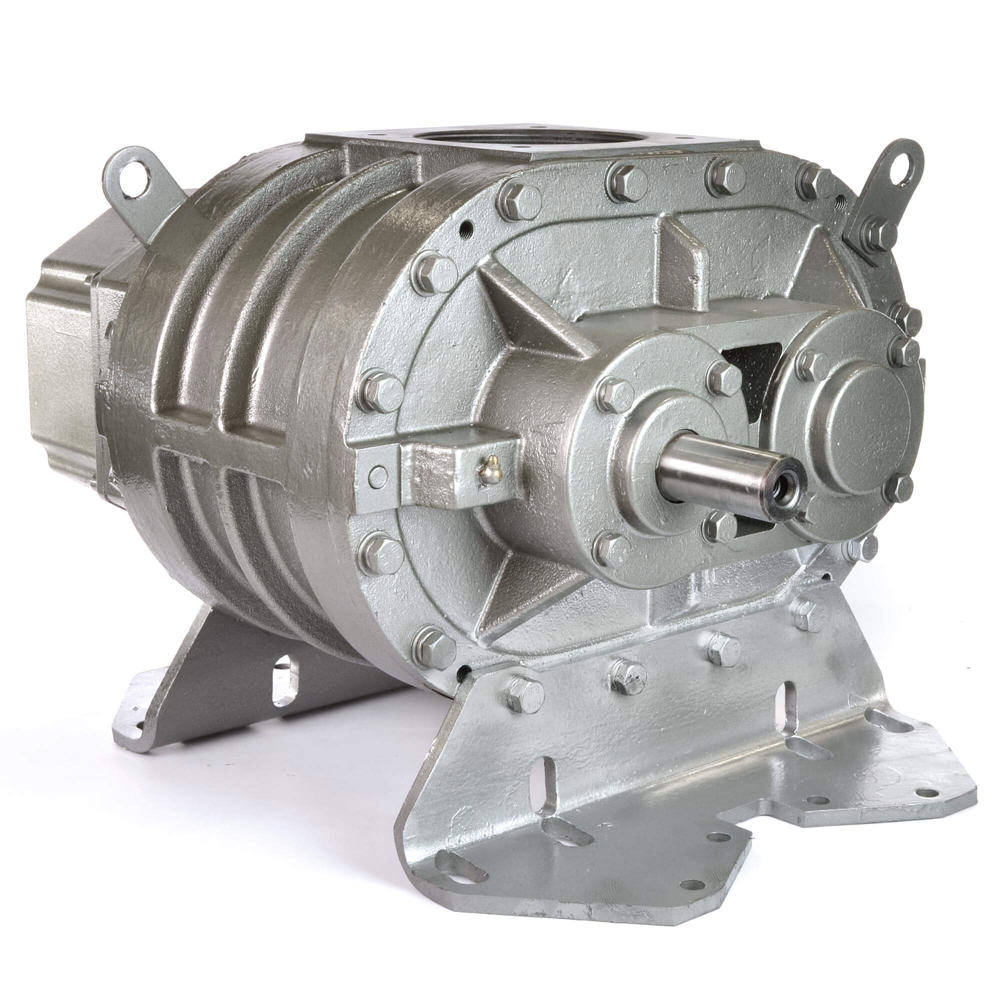 Eurus ZZ6M Positive Displacement Blower