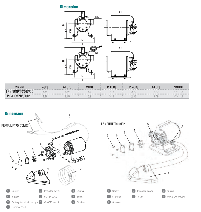 PRM Portable Transfer Pump, 1/10 HP, 12V