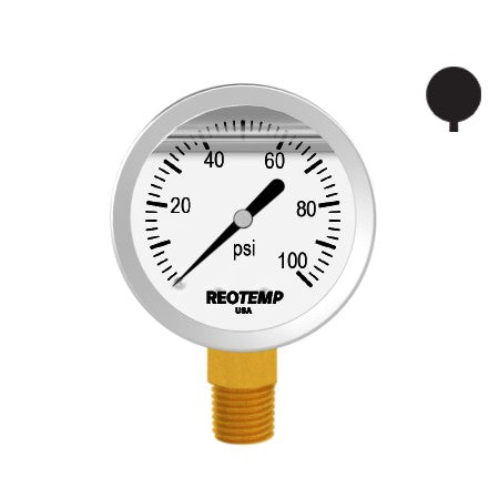 Premium 304 Stainless Steel Pressure Gauge with Brass Internals, 0-100 PSI, 2-1/2 Inch Dial, 1/4 Inch NPT Bottom Mount, Calibration Certificate Option