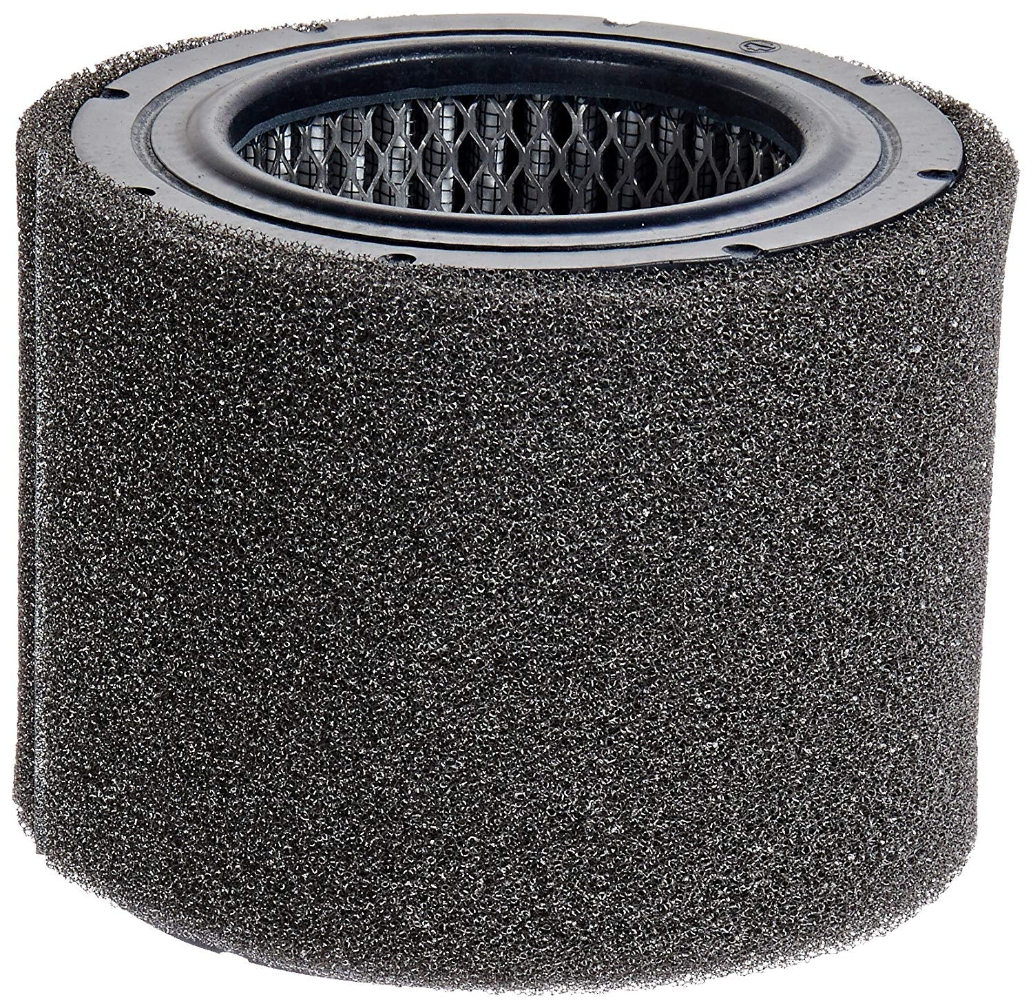 Solberg Air Filter Elements - Solberg 31P Intake Filter