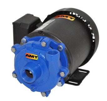 AMT 370E-95 Cast Iron 1 HP Small Straight Centrifugal Pump, 115/230 VAC