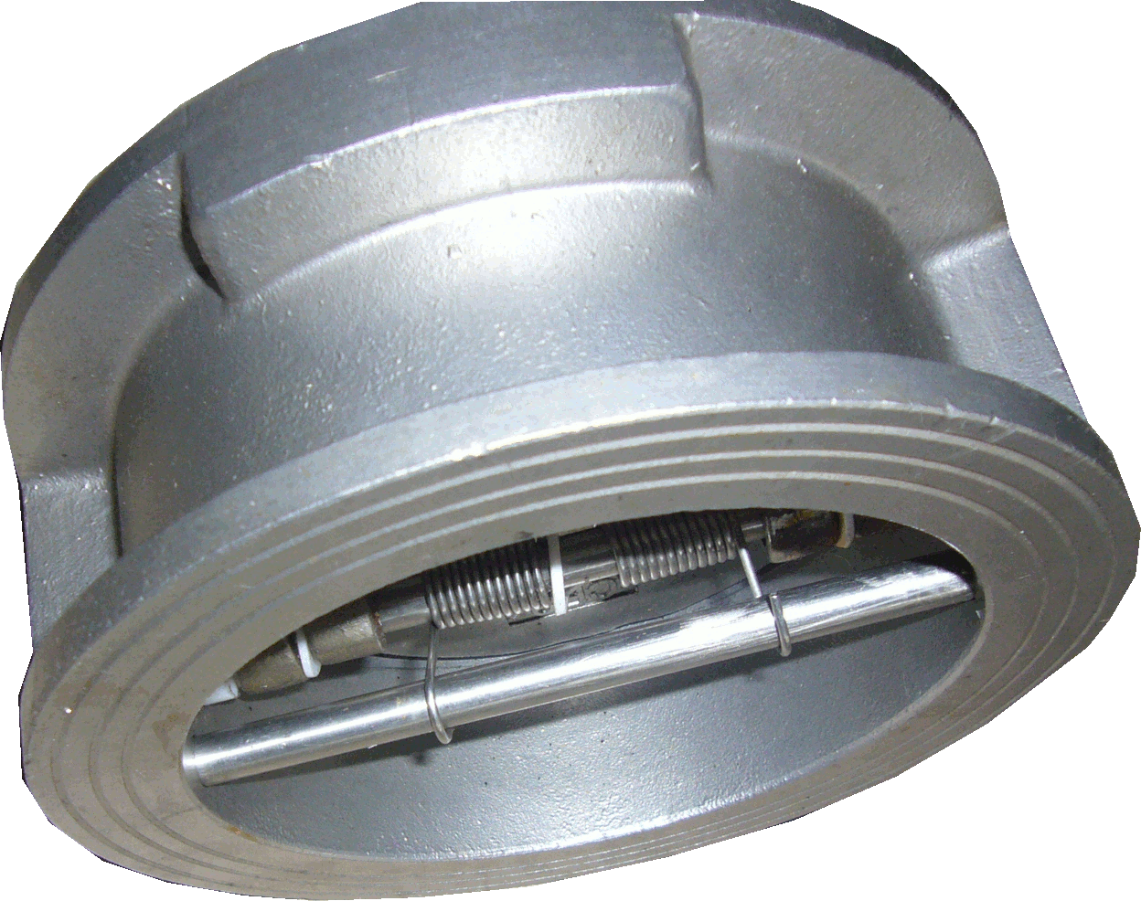 Dual Plate Wafer Style Check Valve; 304 SS; Viton Seat - 2-1/2 Inch