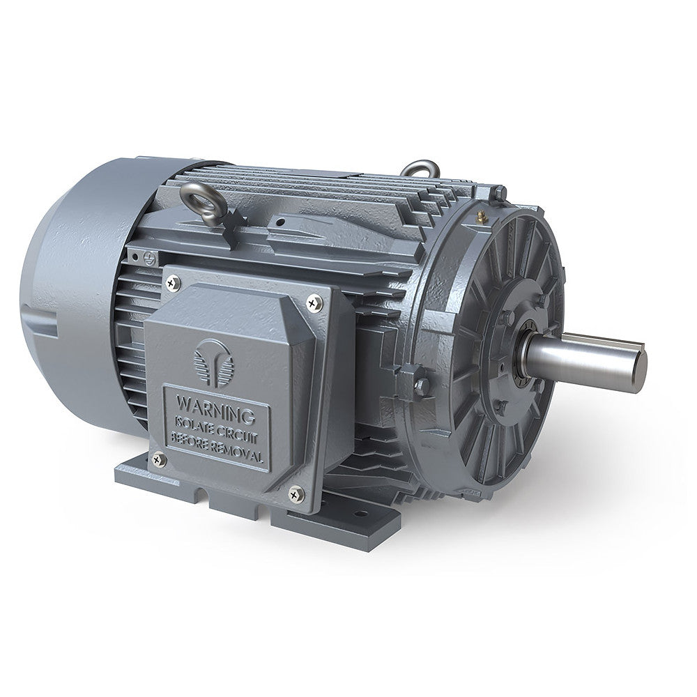 TechTop 100 HP TEFC Cast Iron Motors, Green Line NEMA Premium