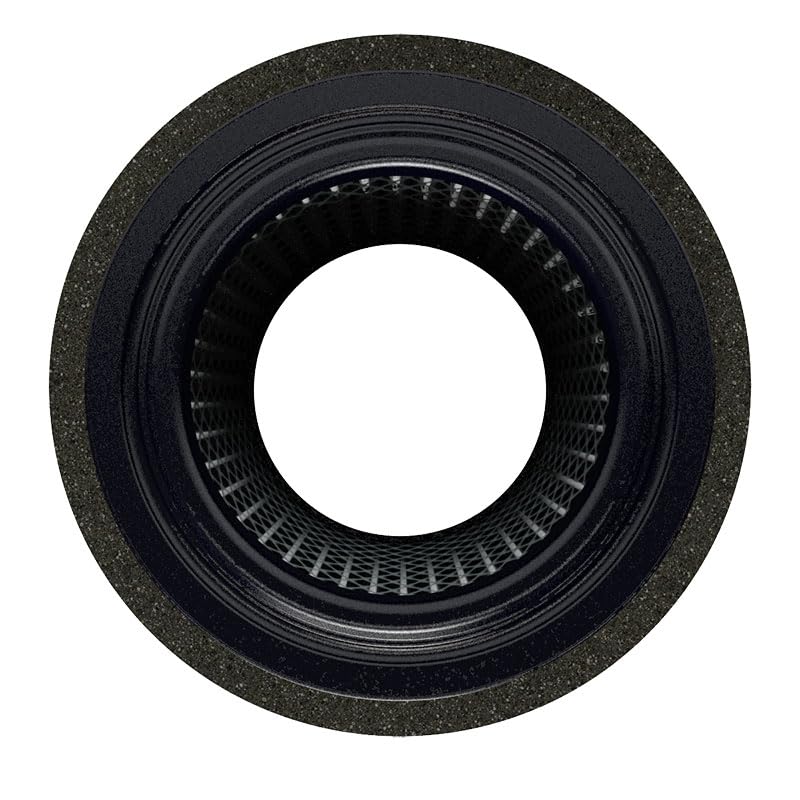 Solberg 19P Air Filter Element