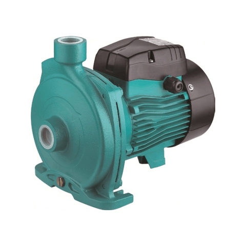 PRM 1 HP Horizontal Centrifugal Pump, 120V, 1 Phase