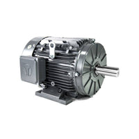 TechTop NEMA Premium TEFC Aluminum Motor