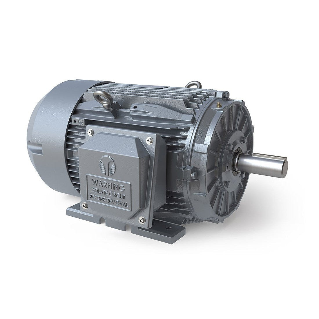 TechTop NEMA Premium TEFC Cast Iron Motor