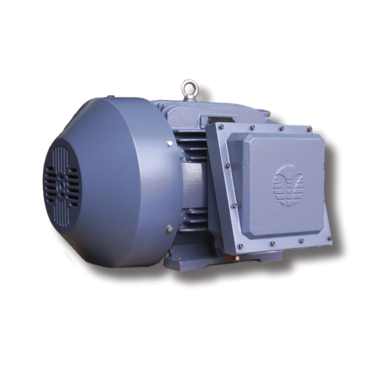 TechTop 1 HP NEMA Premium Motors, Explosion Proof