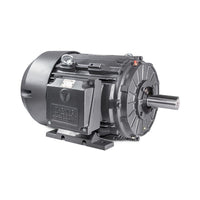 TechTop XR3 NEMA 4 Super Premium TEFC Cast Iron Motor