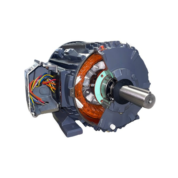 TechTop XR3 NEMA 4 Super Premium TEFC Cast Iron Motor Cutaway