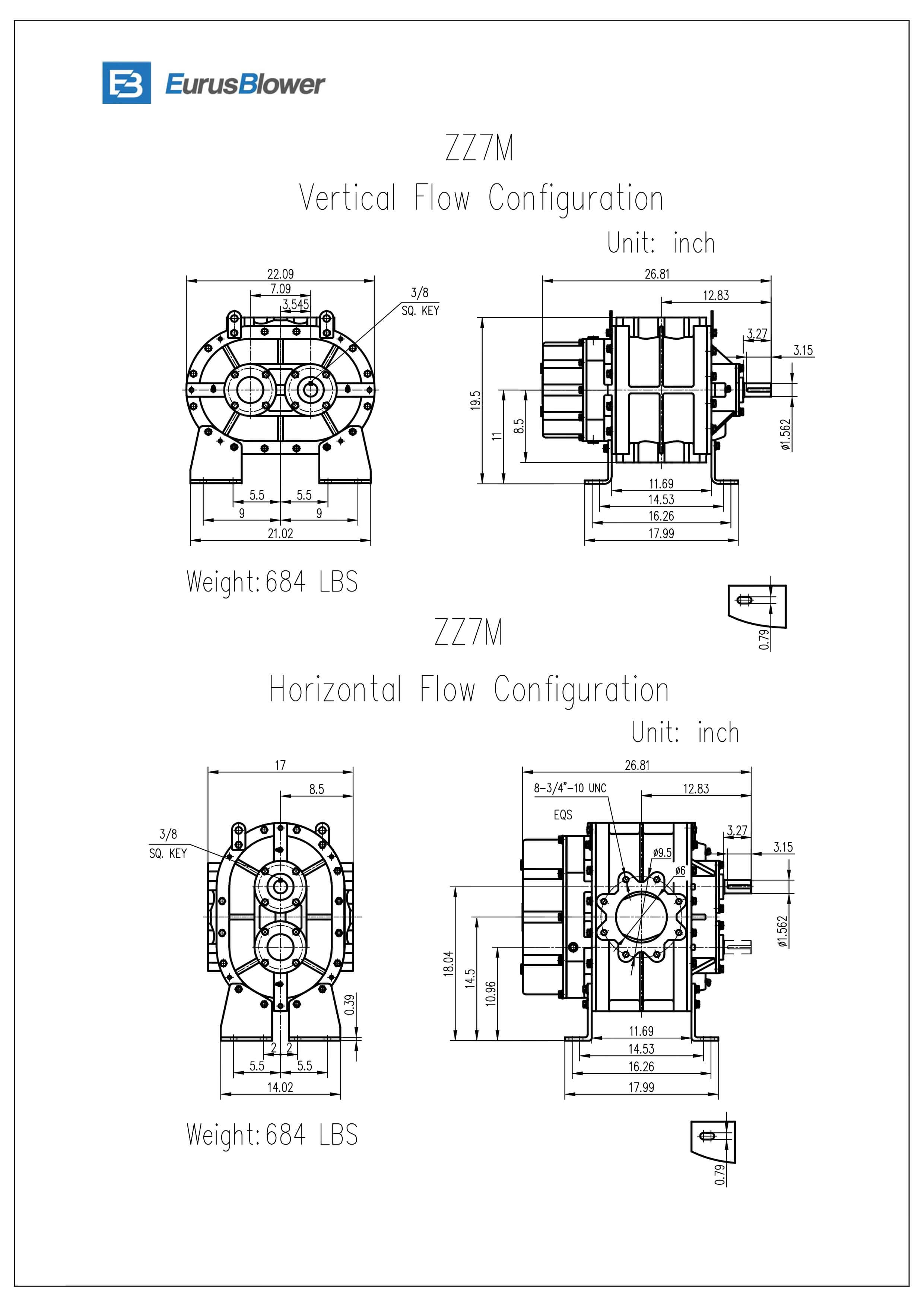 Eurus ZZ7M Positive Displacement Blower