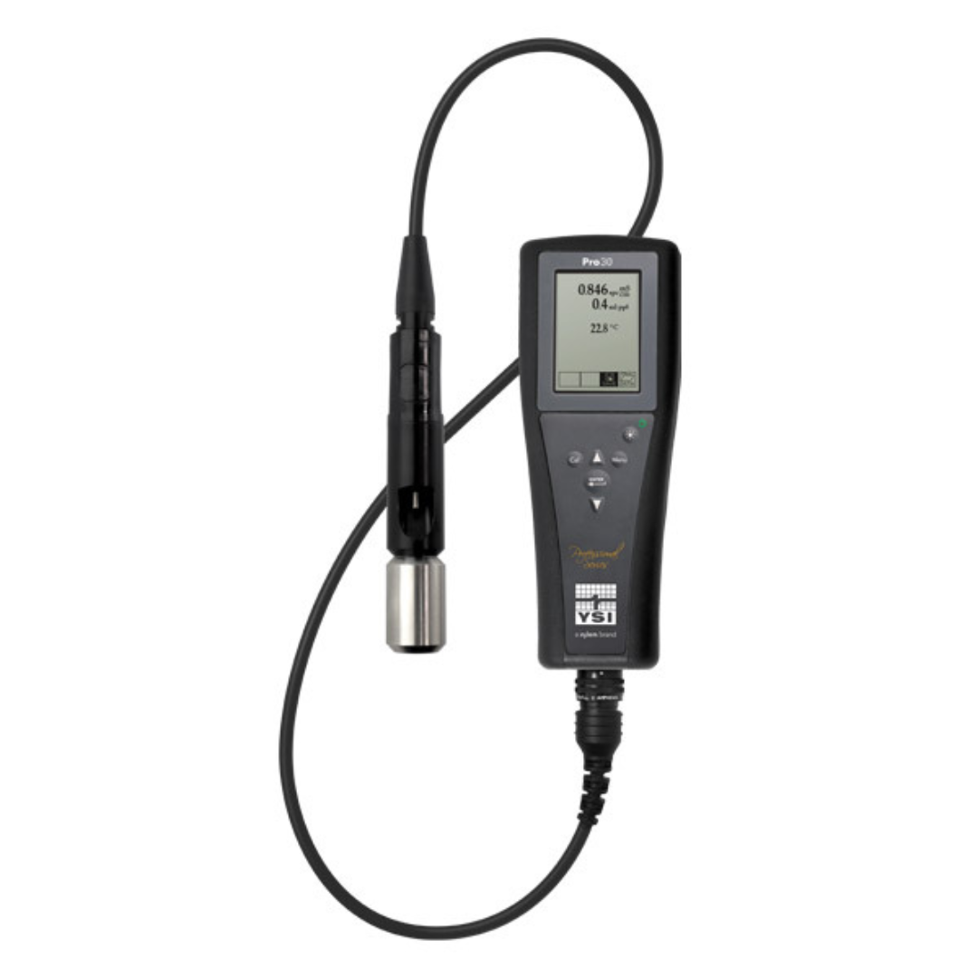 YSI Pro30 Meter with cable and sensor