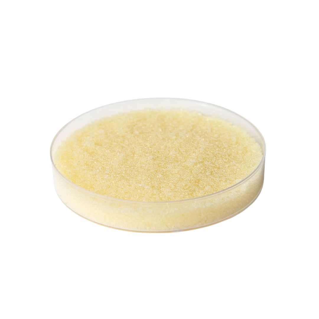 ResinTech SIR-110-MP-HP Resin in petri dish