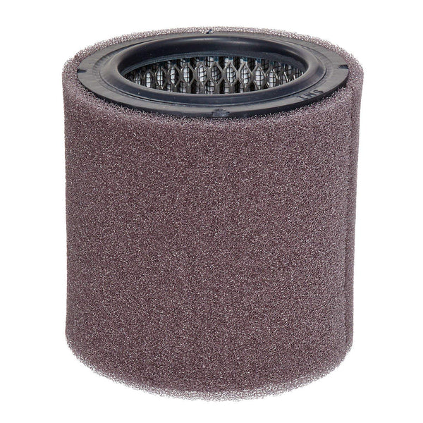 SOLBERG 231, QUINCY 110377E300 POLYESTER AIR FILTER ELEMENT - Pacific