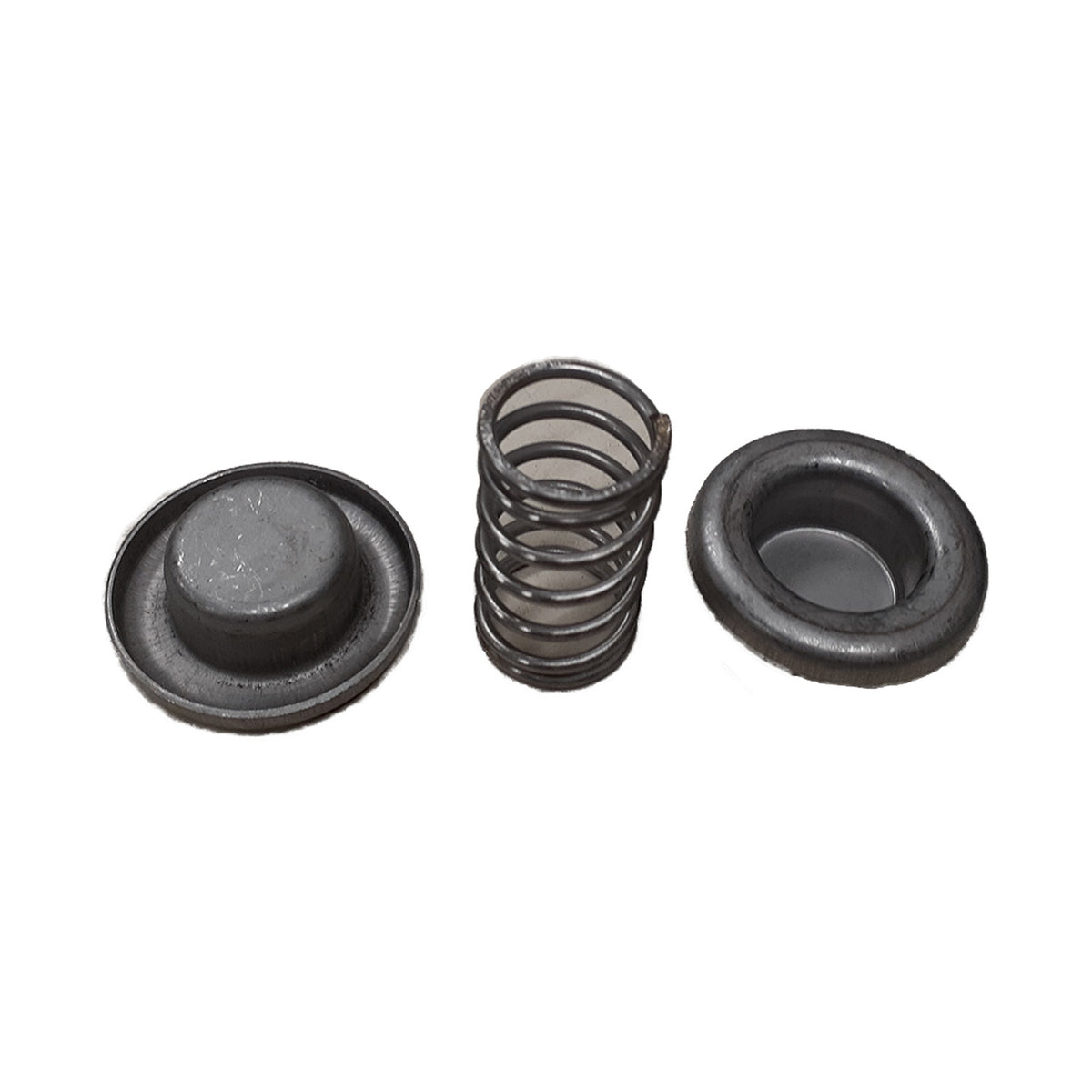 Replacement Cartridge Housing Retaining Cup/Spring Assembly for ...