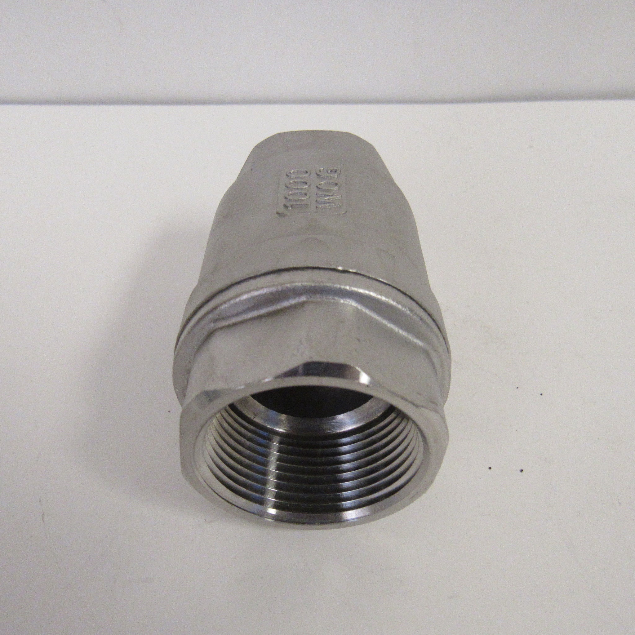 1-1/4 Inch 304 Stainless Steel Spring Check Valve, 1000 WOG