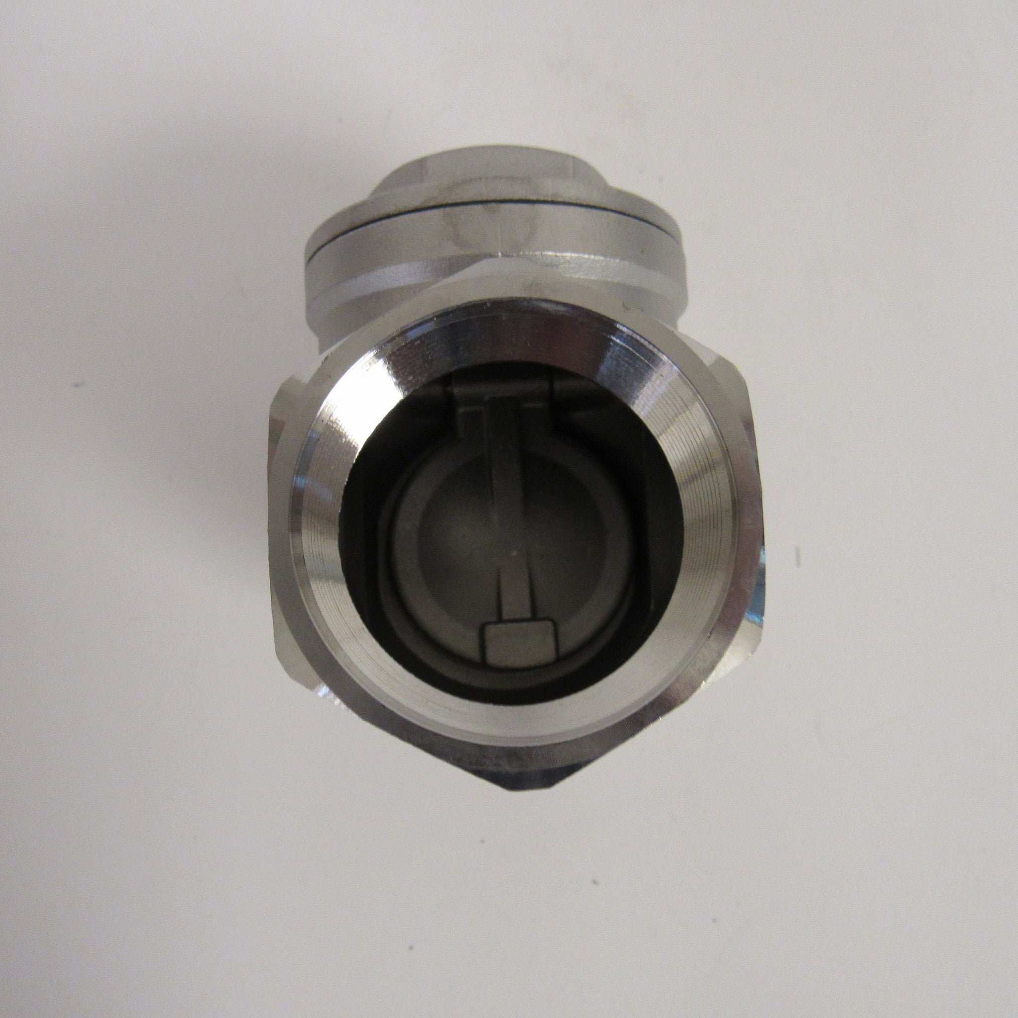 Horizontal Swing Check Valve, 1 Inch NPT, 304 SS, 200 PSI
