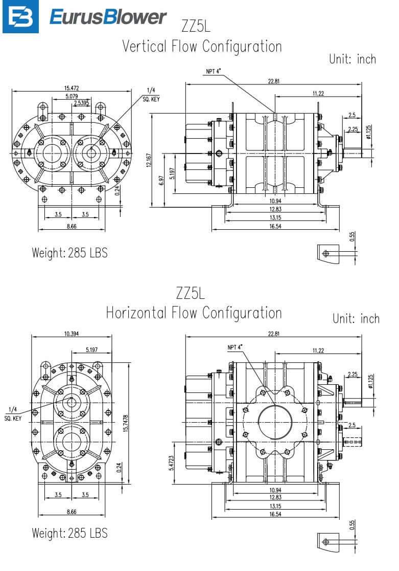 Eurus ZZ5L Positive Displacement Blower