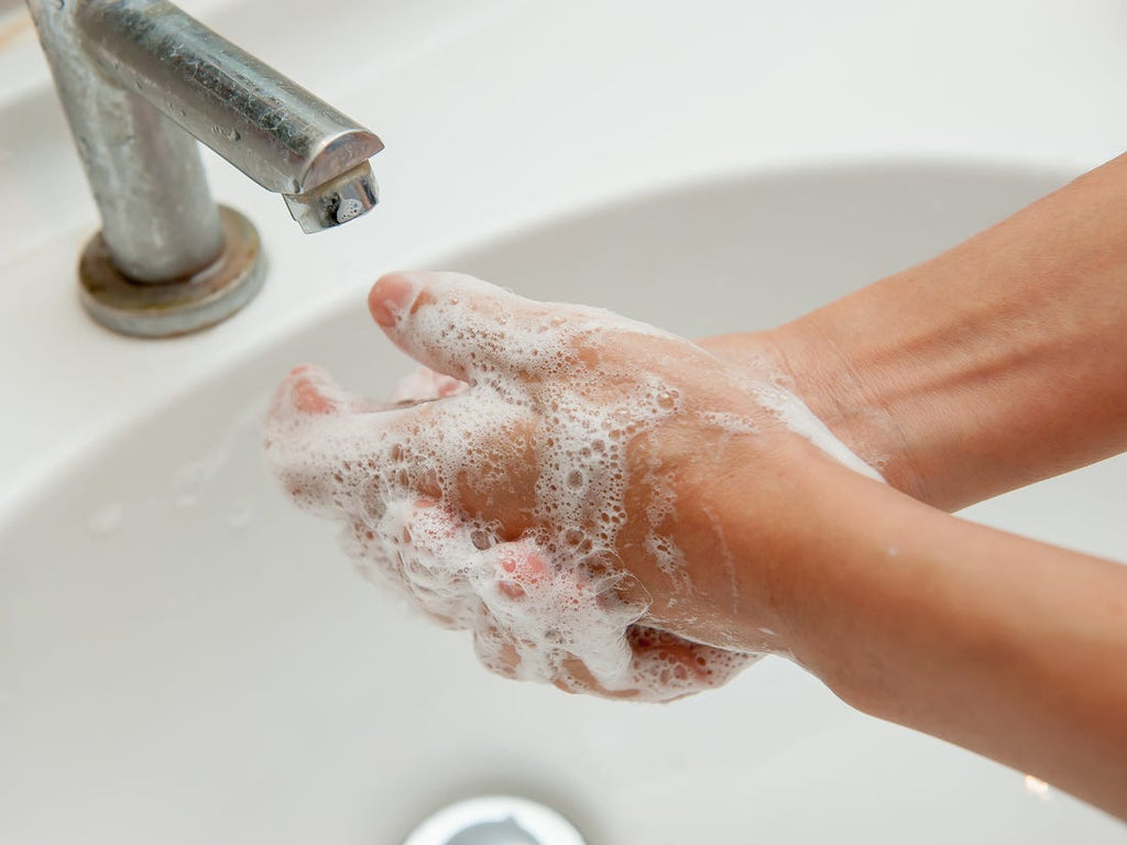 Soft Suds Moisturizing Liquid Hand Soap, 1 Gallon